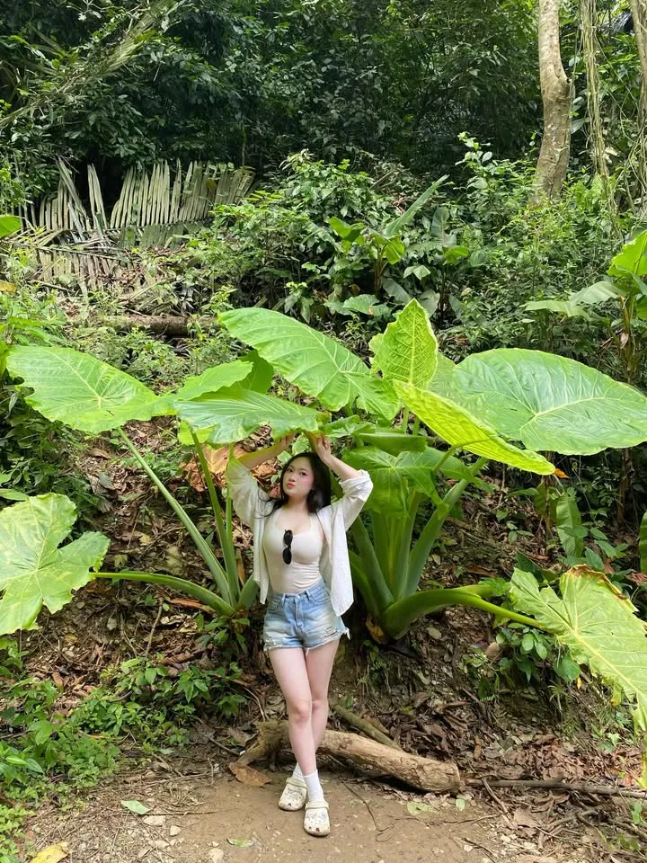 Bộ ảnh “núi rừng” không góc chết của hot girl xinh đẹp, hot rần rần MXH những ngày vừa qua- Ảnh 2.